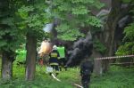  Ćwiczenia międzypowiatowe pk."Brzozów" foto: Gazeta Powiatowa