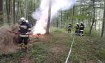  Ćwiczenia na kompleksie leśnym we Wzdowie: foto: st.kpt. Bogdan Biedka