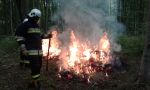  Ćwiczenia na kompleksie leśnym we Wzdowie: foto: st.kpt. Bogdan Biedka